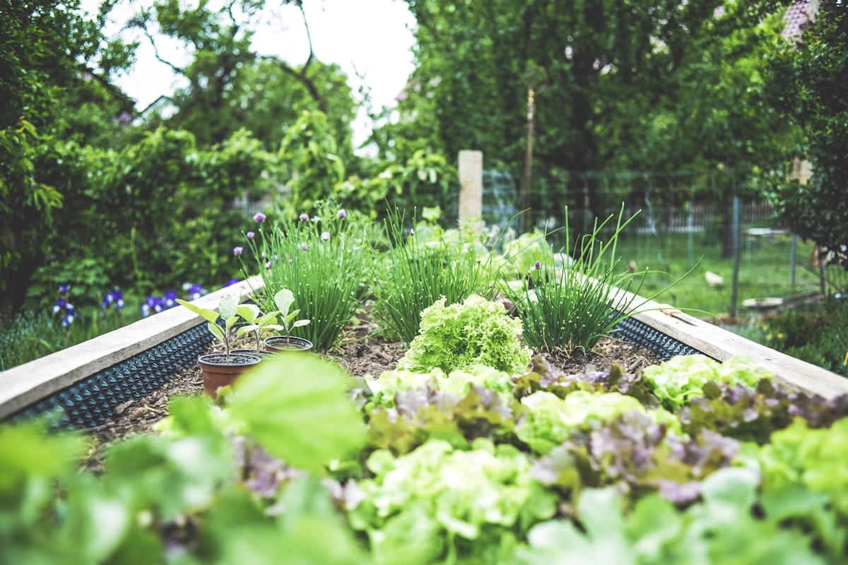 Spring Bed Refresh
